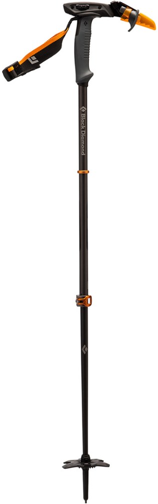 photo: Black Diamond Whippet alpine touring/telemark pole