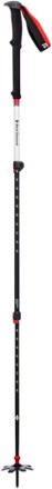 photo: Black Diamond Expedition 3 alpine touring/telemark pole