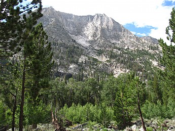 IMG_1572.jpg