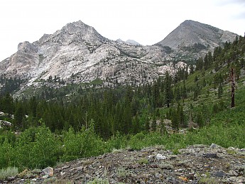 IMG_1561.jpg