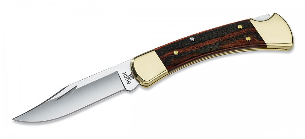 photo: Buck 110 Folding Hunter folding knife