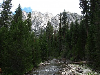 IMG_1650.jpg