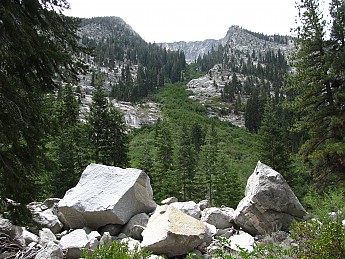 IMG_1630.jpg