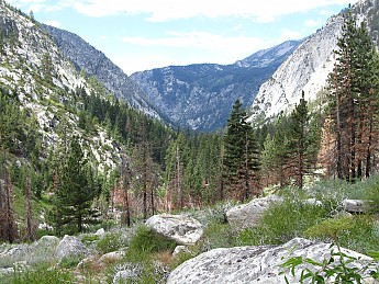 IMG_1617.jpg