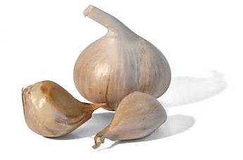 Garlic.jpg