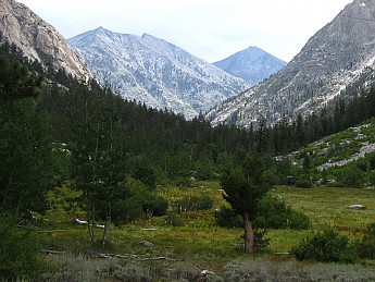 IMG_1600.jpg