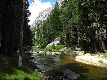 IMG_1696.jpg