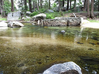 IMG_1692.jpg