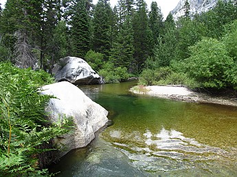 IMG_1688.jpg
