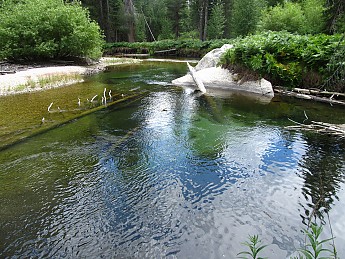IMG_1684.jpg
