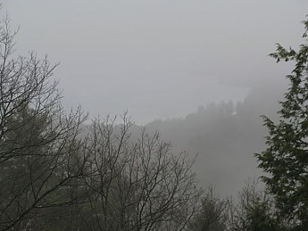 IMG_2664.jpg