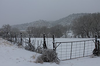 IMG_1536-Snow-landscape-12-7-13-930-am.j