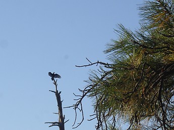 Sept-28-to-30-2011-Camping-with-Paul-con