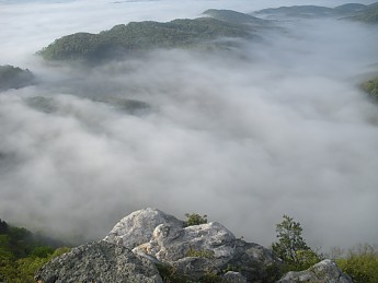 DSCN2331.jpg