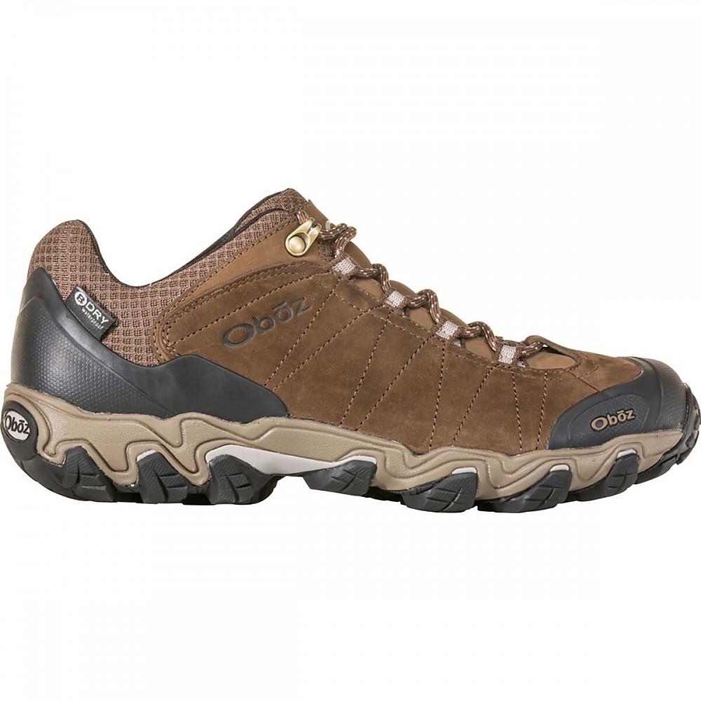 photo: Oboz Bridger Low Waterproof trail shoe