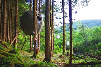 tree_tents-770x510.jpg