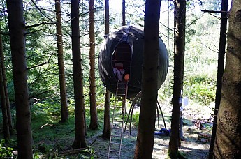 Tree-tent-2.jpg