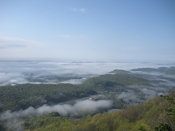 DSCN2338.jpg