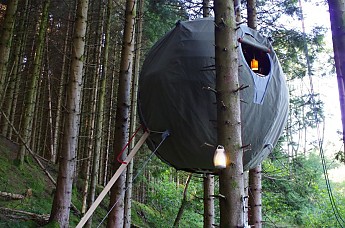 Tree-Tent-3.jpg