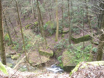 DSCN2346.jpg