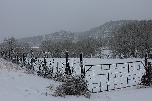 IMG_1536-Snow-landscape-12-7-13-930-am.j