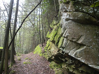 DSCN2348.jpg
