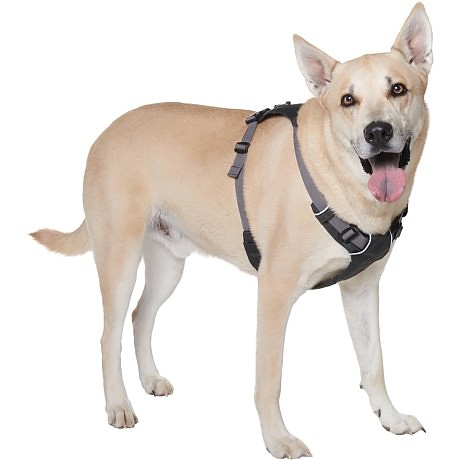 photo: Ruffwear Hi & Light Harness dog harness