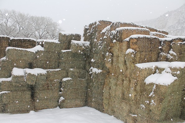 IMG_1532-Hay-bales-in-the-snow-12-7-13.j