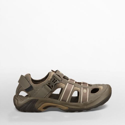 teva omnium review