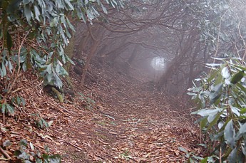 DSC_0004.jpg