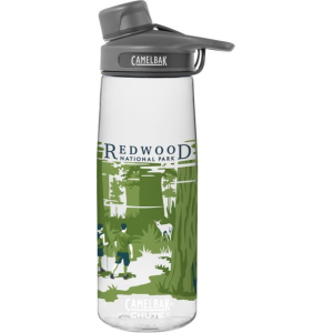 photo: CamelBak Chute Bottle water bottle
