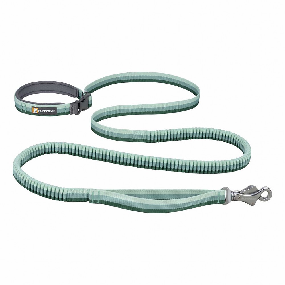 photo: Ruffwear The Roamer Leash dog leash