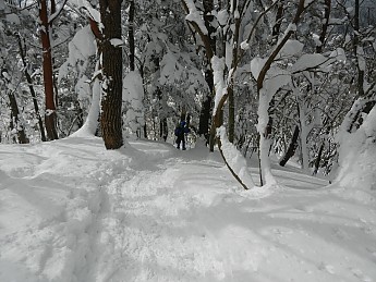 DSCN3439.jpg