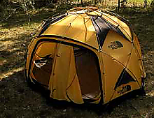 image-1.png