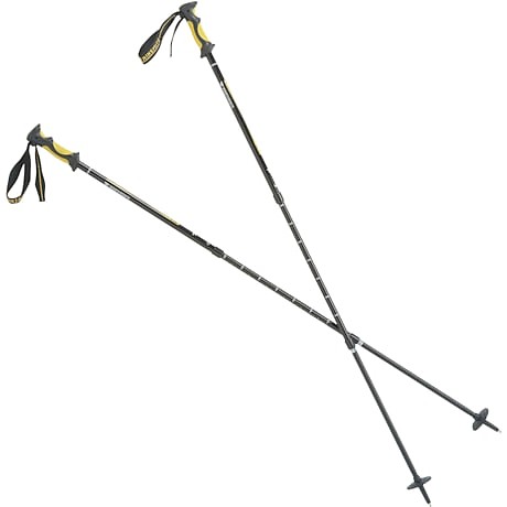 photo: Mountainsmith Pinnacle antishock trekking pole