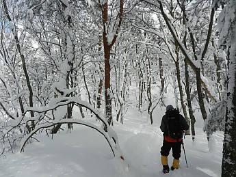 DSCN3452.jpg