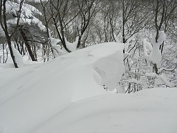 DSCN3453.jpg