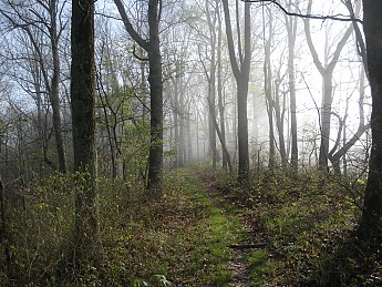 DSCN2367.jpg