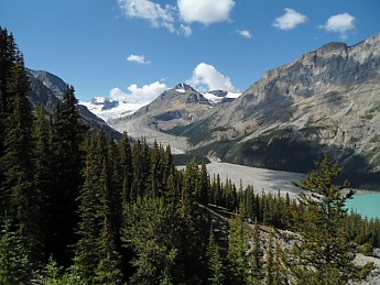 DSC02894.jpg