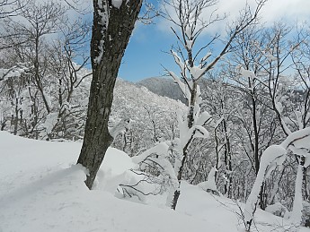 DSCN3456.jpg
