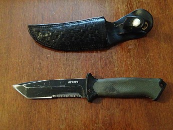 gerber.jpg