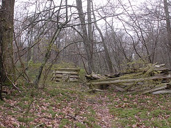 DSCN2373.jpg
