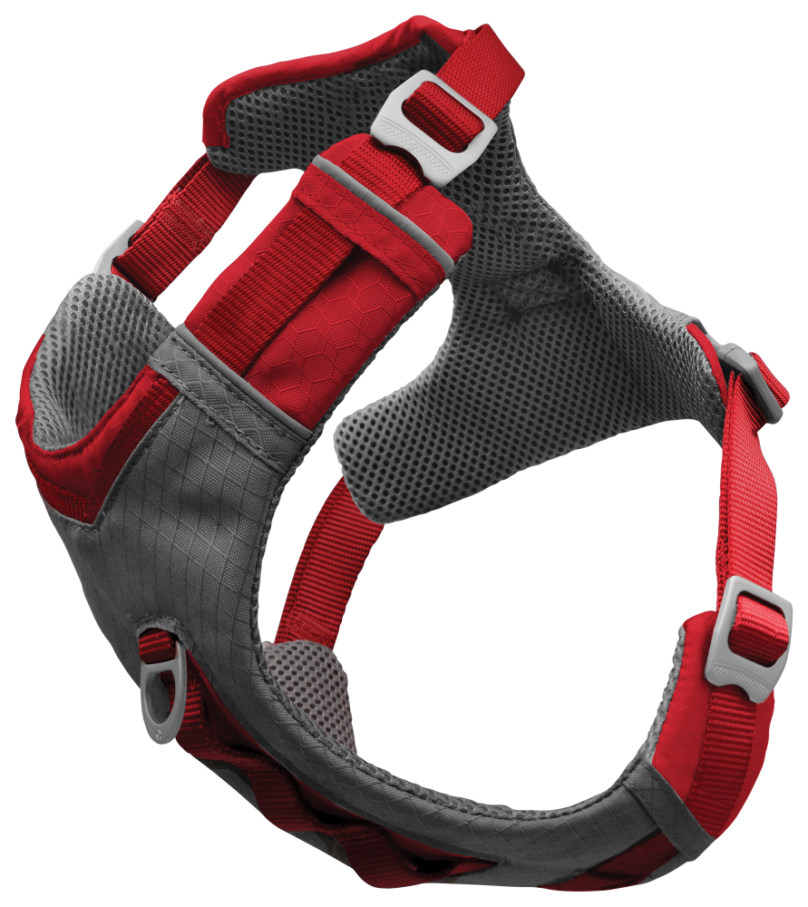 Journey air dog clearance harness