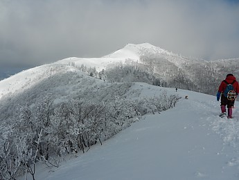 DSCN3460.jpg