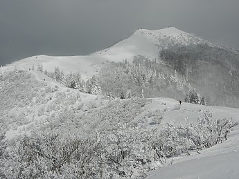 DSCN3463.jpg