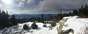 9F45AB19-3A24-4894-9727-346426436F5A.jpg