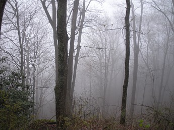 DSCN2376.jpg