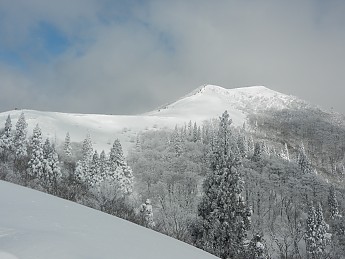 DSCN3469.jpg
