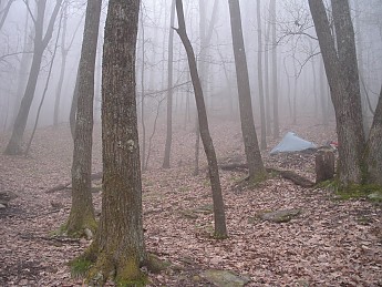 DSCN2382.jpg