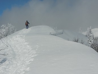 DSCN3471.jpg